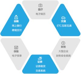 江南天安 密碼技術(shù)與信息安全綜合服務(wù)商的領(lǐng)軍者